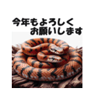 リアル 2025年 あけおめ へび年 年賀状（個別スタンプ：39）