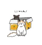 ねことふゆ（個別スタンプ：4）