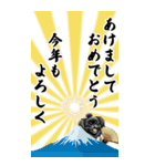 年末年始の黒ペキニーズBIG（個別スタンプ：1）