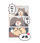 【マンガ風】猫好きさん♡のんびり年末年始（個別スタンプ：10）