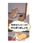 【マンガ風】猫好きさん♡のんびり年末年始（個別スタンプ：13）