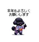 新年お祝いトイプードル 黒 ブラック（個別スタンプ：11）