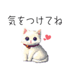 【年末年始・冬】ドット絵⭐️お正月の冬猫（個別スタンプ：16）