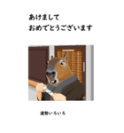 カピバラおじさん28年末年始（個別スタンプ：10）