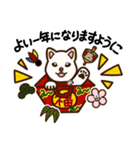 2024新年用白柴犬スタンプ（イラスト）（個別スタンプ：13）