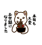 2024新年用白柴犬スタンプ（イラスト）（個別スタンプ：15）