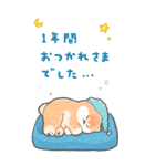 柴犬さんのBIGあけおめスタンプ2025（個別スタンプ：8）