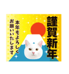 かわいい猫写真♪敬語で丁寧なお正月2025（個別スタンプ：8）