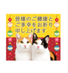 かわいい猫写真♪敬語で丁寧なお正月2025（個別スタンプ：9）