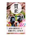 BIG！！和風ゴリラの面白あけおめ（個別スタンプ：5）