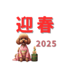 トイプードル茶(2025)年賀状・正月（個別スタンプ：5）