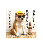 柴犬の現場仕事⭐年末年始酒まみれ（個別スタンプ：1）