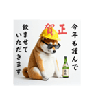 柴犬の現場仕事⭐年末年始酒まみれ（個別スタンプ：7）