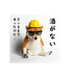 柴犬の現場仕事⭐年末年始酒まみれ（個別スタンプ：14）