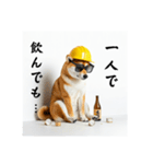 柴犬の現場仕事⭐年末年始酒まみれ（個別スタンプ：15）