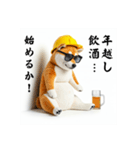 柴犬の現場仕事⭐年末年始酒まみれ（個別スタンプ：21）