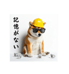 柴犬の現場仕事⭐年末年始酒まみれ（個別スタンプ：25）