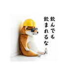 柴犬の現場仕事⭐年末年始酒まみれ（個別スタンプ：33）