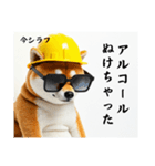 柴犬の現場仕事⭐年末年始酒まみれ（個別スタンプ：35）