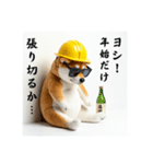 柴犬の現場仕事⭐年末年始酒まみれ（個別スタンプ：40）