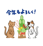 年末年始の元気な猫と花とお正月（個別スタンプ：8）