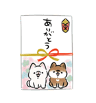ほんわかしばいぬ<2025お正月>（個別スタンプ：21）