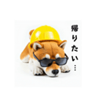 ぐでだる柴犬の現場仕事⭐年末年始（個別スタンプ：4）