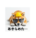 ぐでだる柴犬の現場仕事⭐年末年始（個別スタンプ：10）