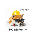 ぐでだる柴犬の現場仕事⭐年末年始（個別スタンプ：16）