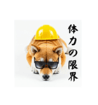 ぐでだる柴犬の現場仕事⭐年末年始（個別スタンプ：24）