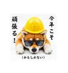 ぐでだる柴犬の現場仕事⭐年末年始（個別スタンプ：30）