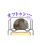 ポム活（個別スタンプ：3）