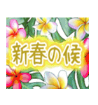 ❤️動く見やすい文字とハワイの花で開運（個別スタンプ：8）