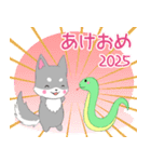 ちびハスキー2025【あけおめ】（個別スタンプ：1）