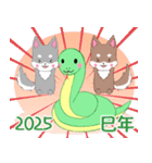 ちびハスキー2025【あけおめ】（個別スタンプ：20）