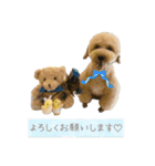 テムと茶々丸（個別スタンプ：9）