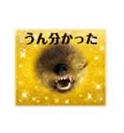 テムと茶々丸（個別スタンプ：11）