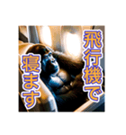 【飛行機に乗る】ゴリラ（個別スタンプ：10）