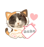 あーちゃんの癒されるスタンプニャ（個別スタンプ：1）