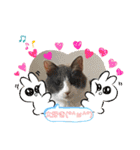 あーちゃんの癒されるスタンプニャ（個別スタンプ：2）
