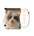 あーちゃんの癒されるスタンプニャ（個別スタンプ：3）