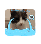 あーちゃんの癒されるスタンプニャ（個別スタンプ：5）