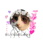 あーちゃんの癒されるスタンプニャ（個別スタンプ：6）