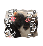 あーちゃんの癒されるスタンプニャ（個別スタンプ：9）