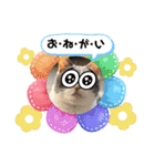 あーちゃんの癒されるスタンプニャ（個別スタンプ：10）