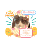 あーちゃんの癒されるスタンプニャ（個別スタンプ：13）