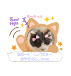 あーちゃんの癒されるスタンプニャ（個別スタンプ：15）