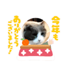 あーちゃんの癒されるスタンプニャ（個別スタンプ：19）