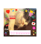 あーちゃんの癒されるスタンプニャ（個別スタンプ：20）