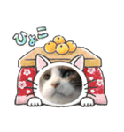 あーちゃんの癒されるスタンプニャ（個別スタンプ：21）